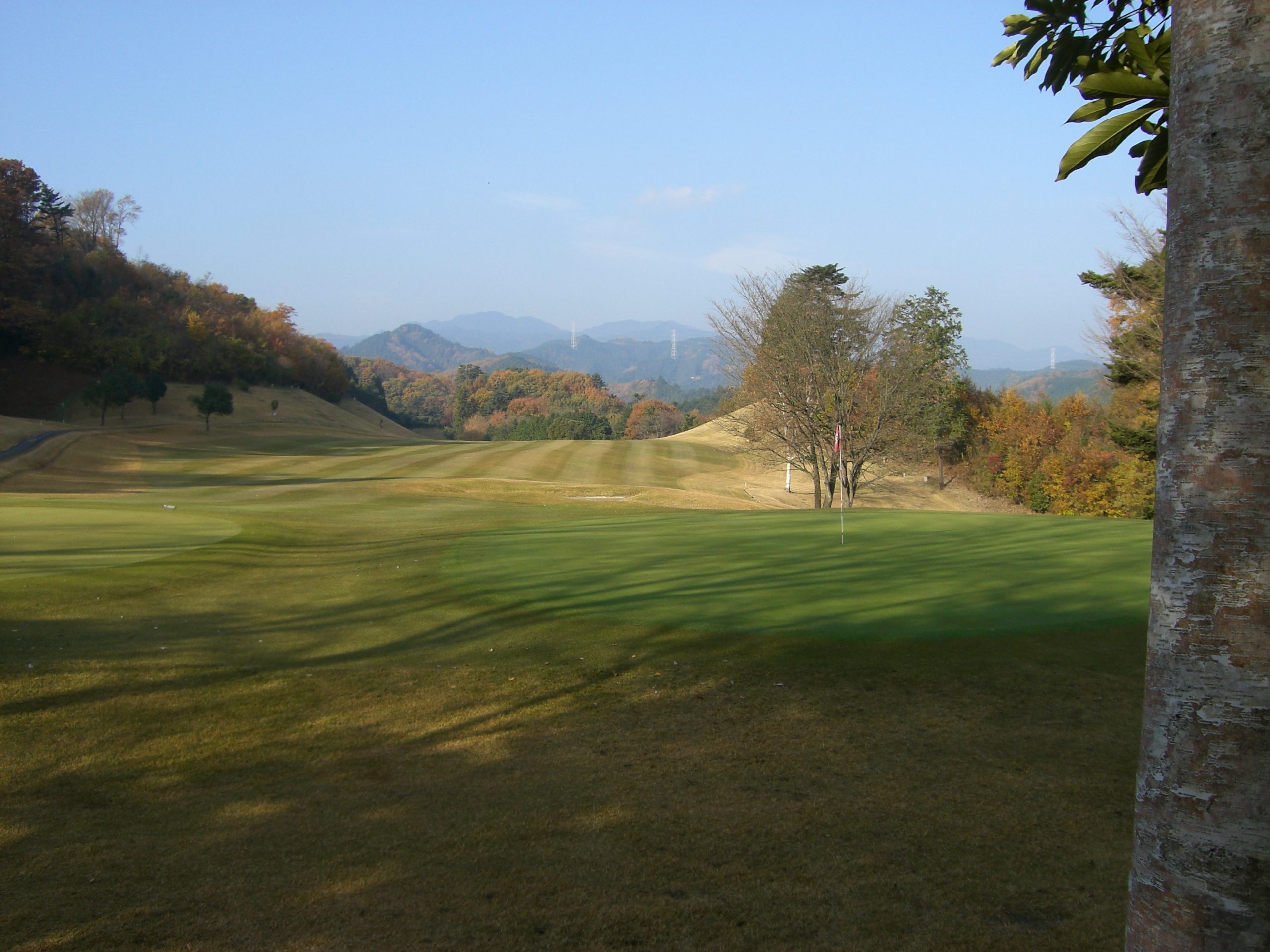 日曜・祝日特別料金のお知らせ